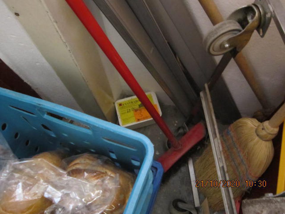 balené a nebalené pekárske výrobky  v sklade sú uložené nehygienickým spôsobom, v ich blízkosti sú uložené čistiace pomôcky, lepová stanička na hlodavce,..