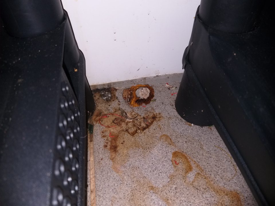 Znečistenie podlahy chladiaceho boxu v zázemí.