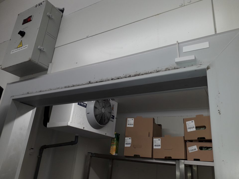 Výskyt kolónií plesní na zárubniach dverí chladiaceho zariadenia v zázemí