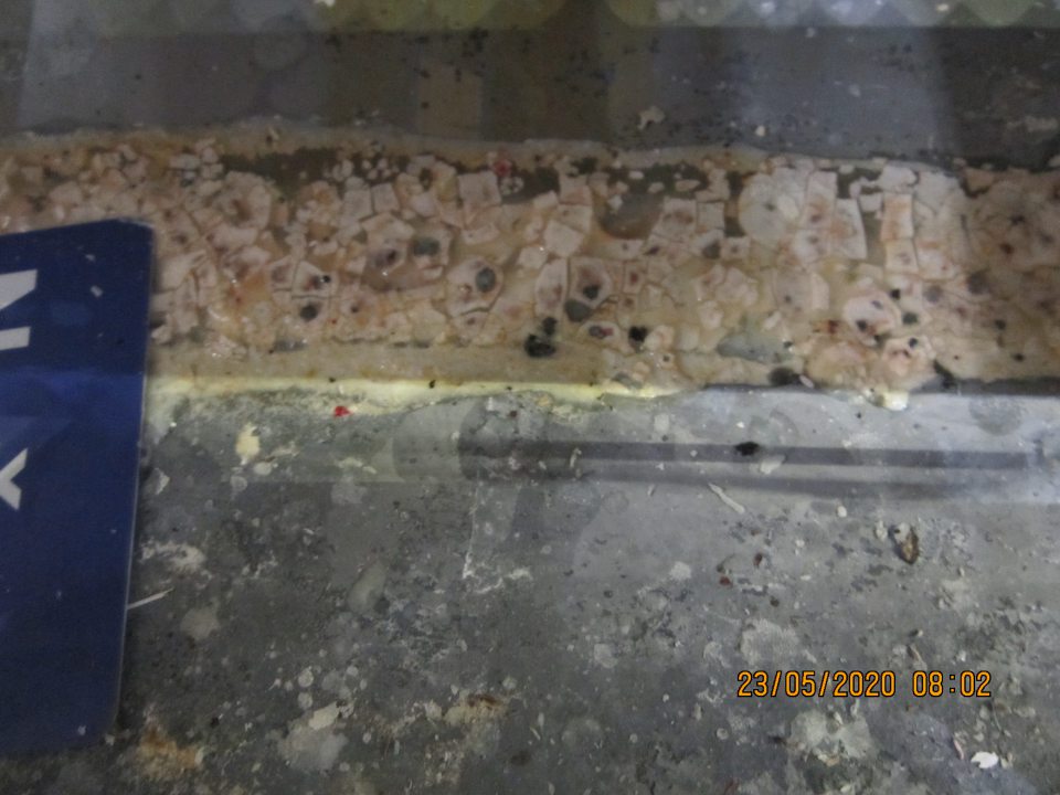  Výskyt plesne pod mriežkou v chladiacom zariadení na predajnej ploche.