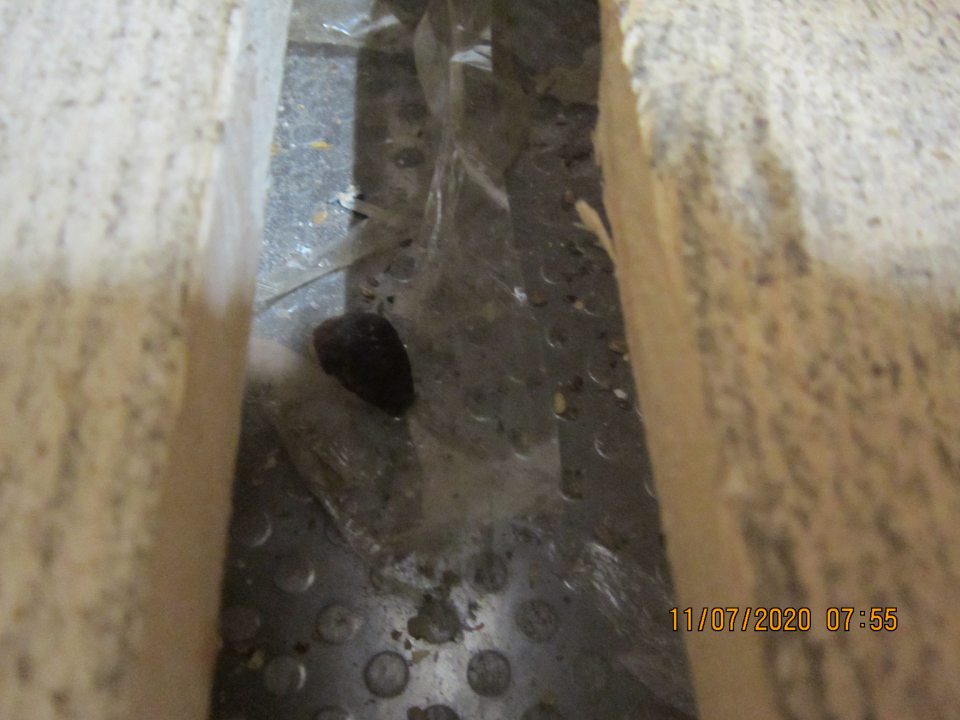 V mraziacom boxe s umiestnenými hlbokozmrazenými pekárskymi polotovarmi znečistená podlaha pod paletou napadanými rôznymi nečistotami. 