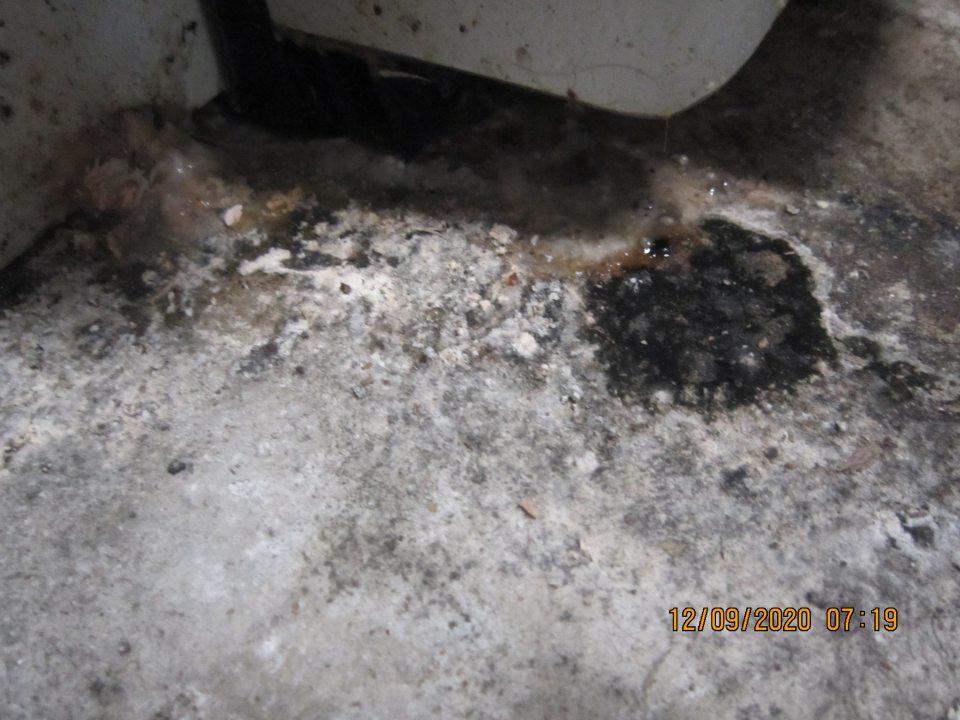 V skladovom priestore bola podlaha so silným výskytom plesne.