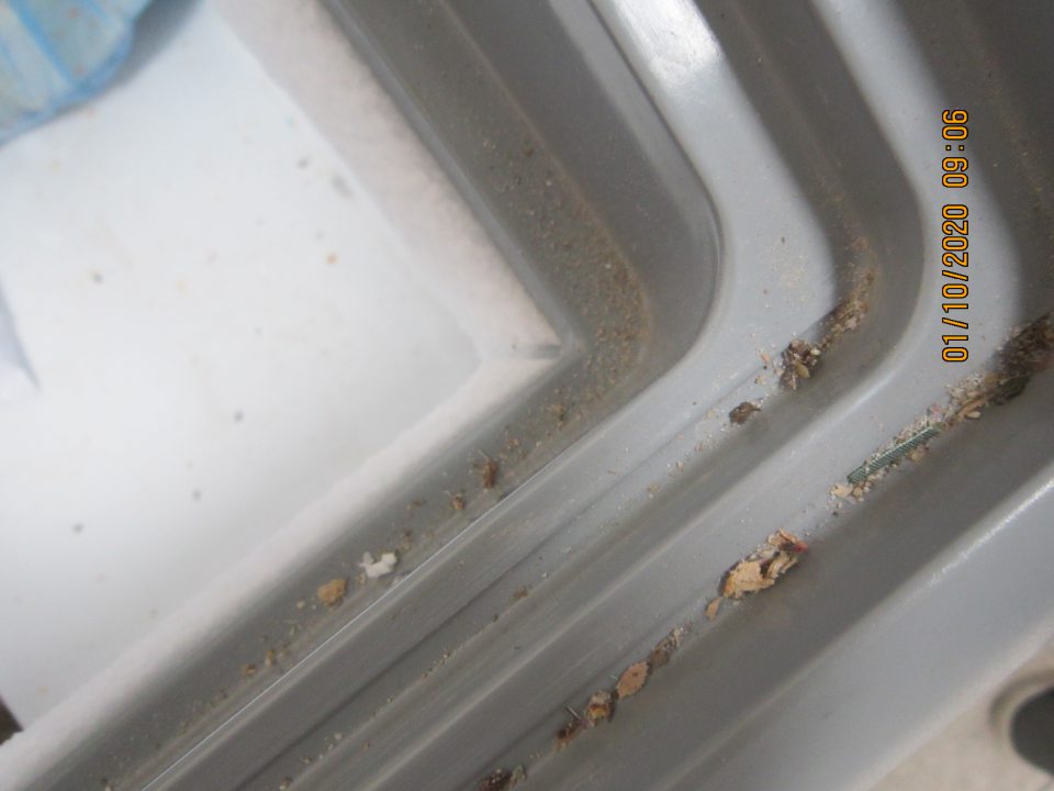 V skladových priestoroch vodiaca lišta a miesto pod vodiacou lištou v  mraziacom zariadení boli silne znečistené.