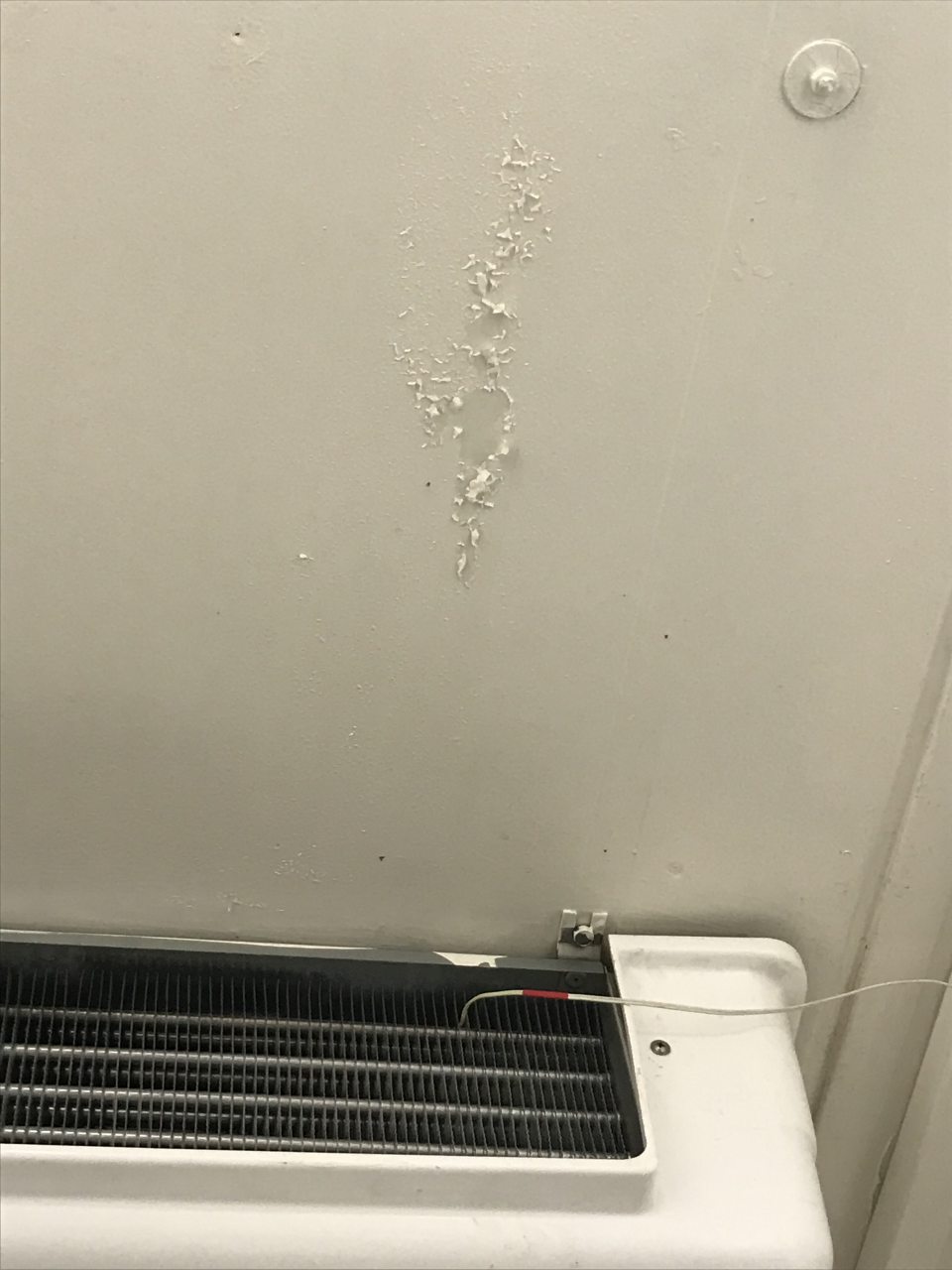 - Olupujúci sa náter stropu v chladiacom boxe ovocia a zeleniny.