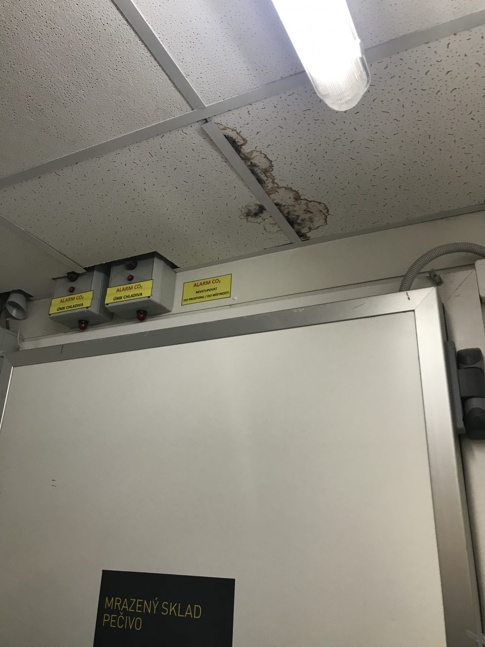 - Zatečená a znečistená stropná kazeta nad mraziacim skladom pečiva