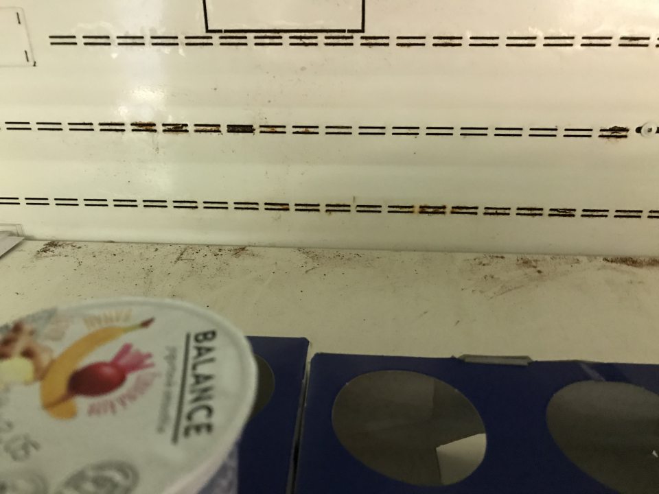 Znečistená ložná plocha regálov a prítomnosť plesní na zadných stenách chladiacich vitrín s mliečnymi a mäsovými výrobkami.