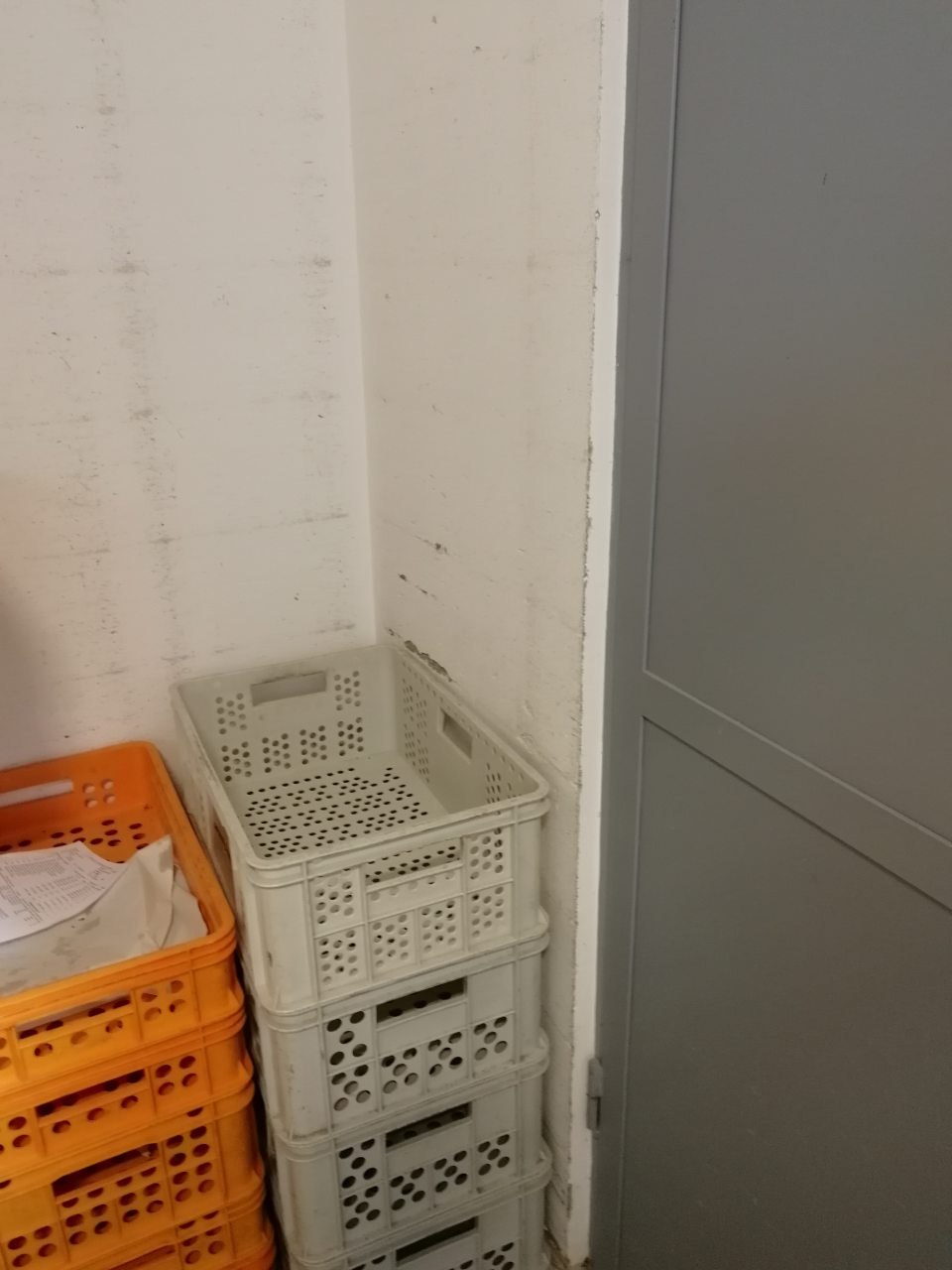 Poškodené steny spôsobené manipuláciou s paletovým vozíkom na viacerých miestach skladu potravín a manipulačných priestorov