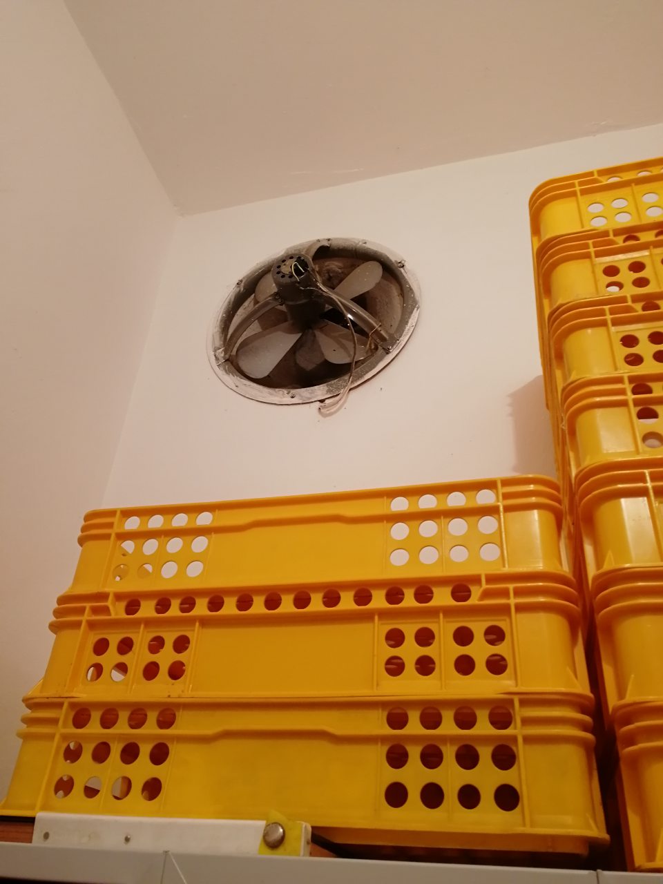  Nefunkčný ventilátor, znečistený prachom a pavučinami v sklade potravín a v šatni zamestnancov.