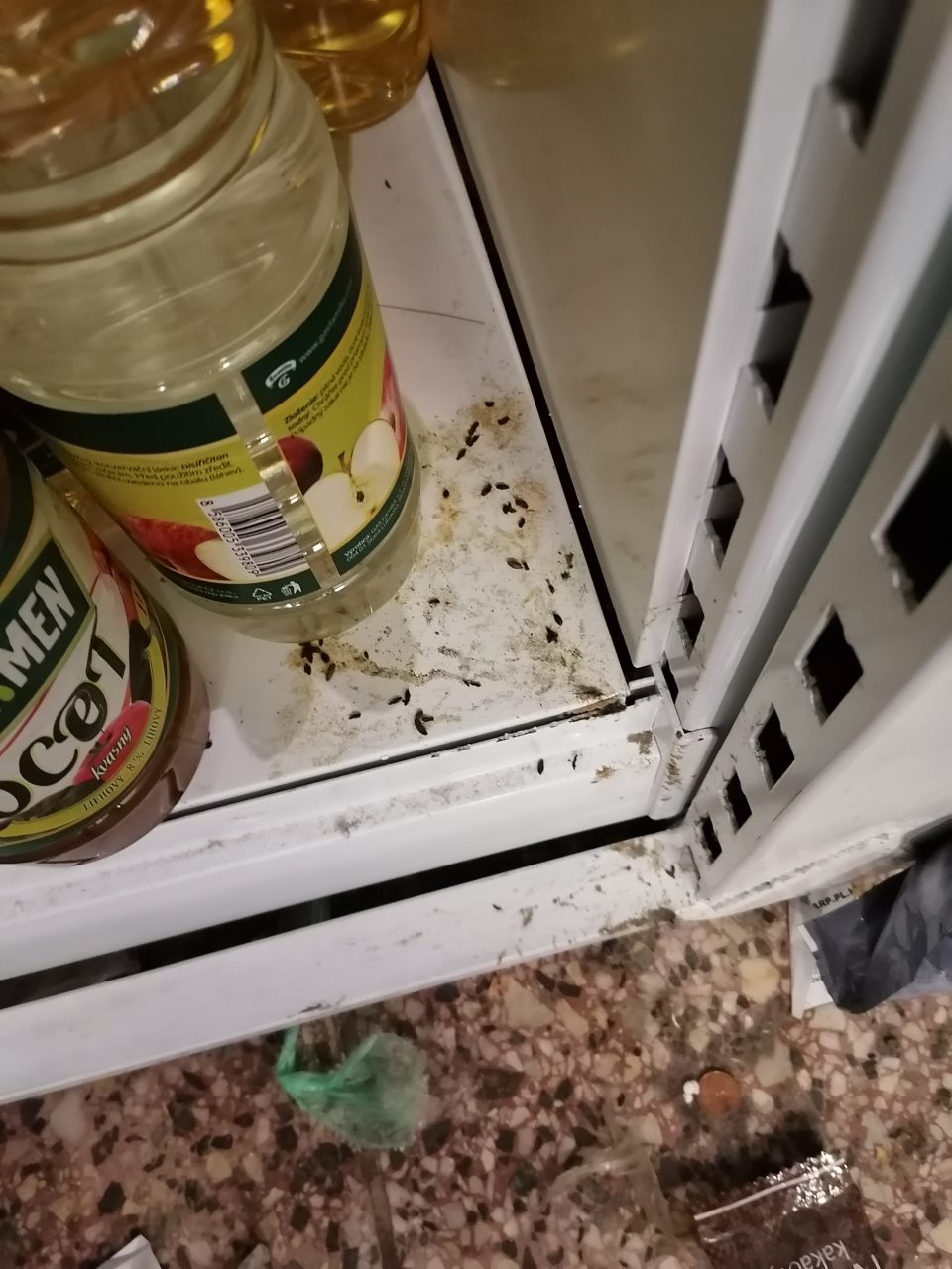 Výskyt exkrementov od hlodavcov