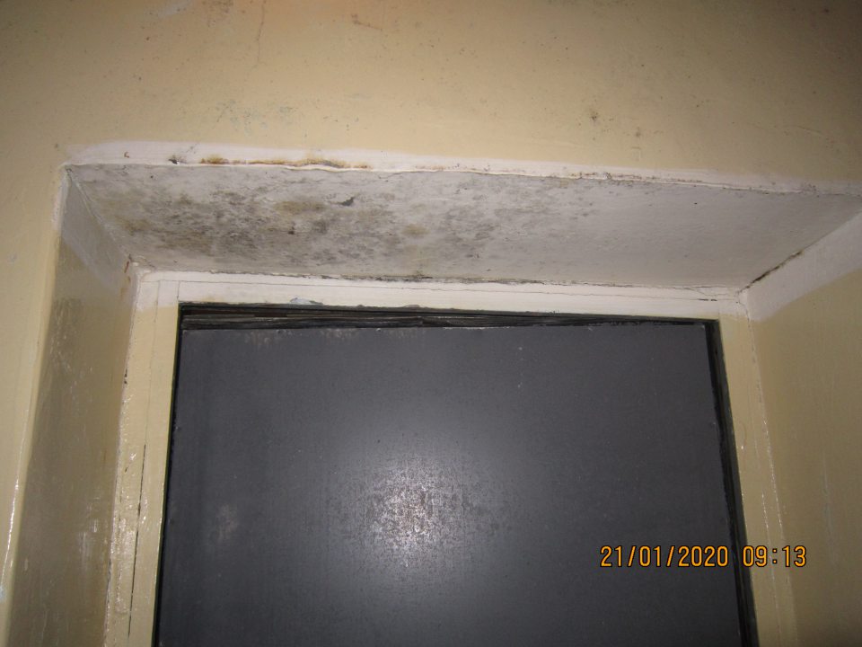 Olupujúci sa hygienický náter s výskytom plesne na vrchnej časti výklenku v blízkosti zárubne dverí. 