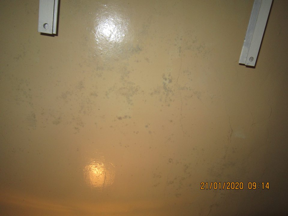 V chladiacom boxe slúžiacom na uskladnenie ovocia a zeleniny zistený výskyt plesne na strope. 