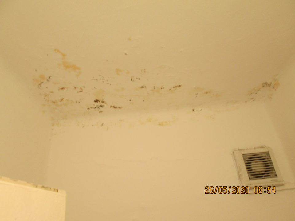 zatečený strop s výskytom plesne v miestnosti na uloženie čistiacich a dezinfekčných prostriedkov a tiež strop vo WC zamestnancov.