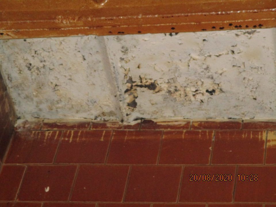 2. Opraviť olupujúci sa hygienický náter stropu vo výrobnej miestnosti v časti s kysiarňou a v časti nad etážovými pecami. Termín. do 20. februára 2020. Opatrenie v čase dodatočnej úradnej kontroly nesplnené. Na strope pri kysiarni je poškodený (olupujúci sa) hygienický náter v rozsahu cca 60cm x 20cm a v časti nad etážovými pecami je olupujúci sa hygienický náter stropu v rozsahu cca 1,5m x 20cm vo väčšej miere ako pri úradnej kontrole dňa 07.11.2019