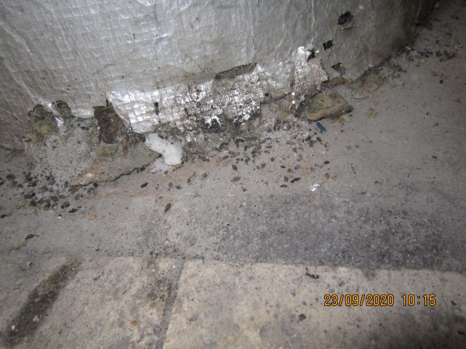 výskyt trusu hlodavcov - myší v sklade surovín na viacerých miestach na paletách s uloženými surovinami a tiež na podlahe okolo nádoby na ohrev vody v celkovom množstve cca 120 ks