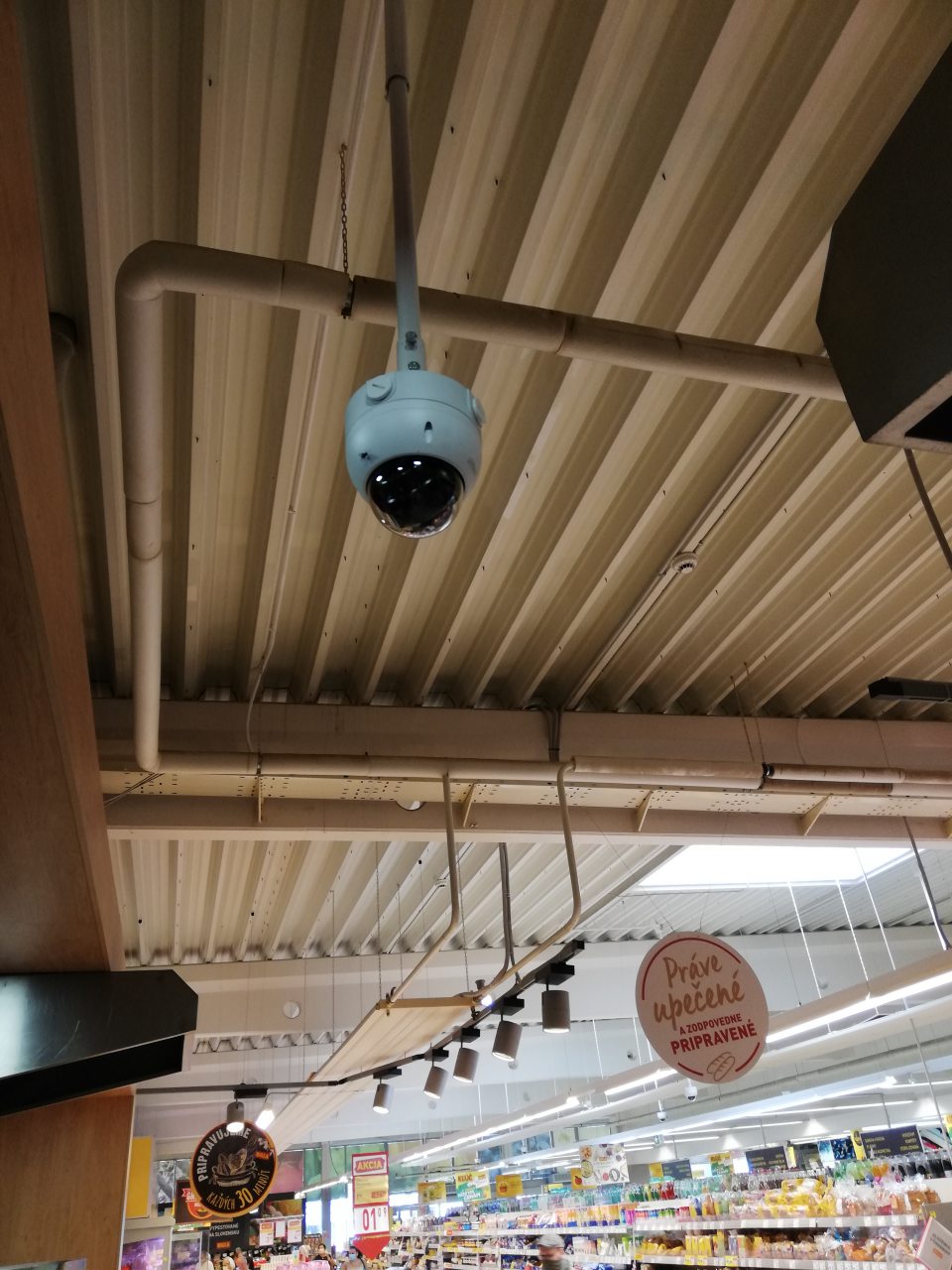 Výskyt letajúceho hmyzu na prevádzke v priestore predaja pečiva al lahôdok