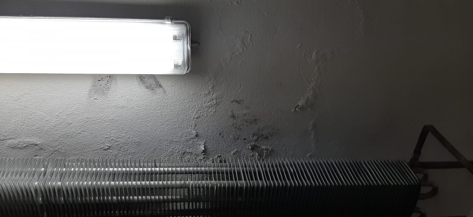 V chladiacom boxe na uchovávanie mäsových výrobkov v skladových priestoroch bol: - strop nad chladiacim agregátom znečistený plesňou s opadanou omietkou.