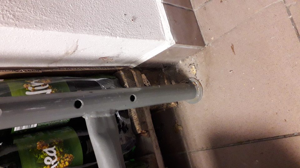 V suchom sklade potravín pod regálom s potravinami bola nahromadená hrubá vrstva nečistoty, omrvinky,prach, pavučiny.