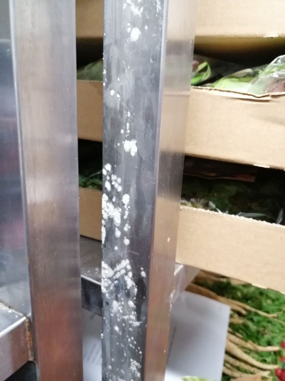 Výskyt plesne na regáloch v chladenom sklade ovocia a zeleniny.