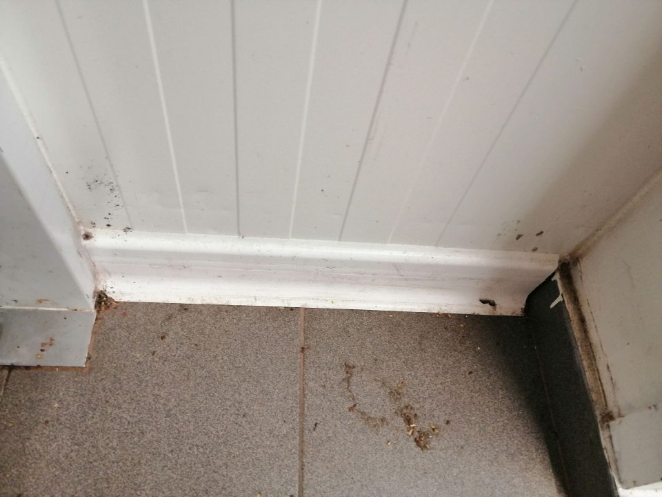 Pri vstupe do mraziarenského skladu znečistený sokel a stena.