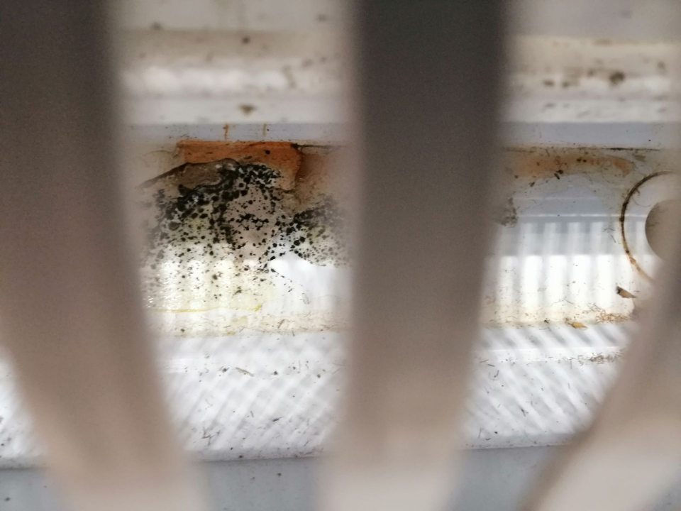 Znečistený priestor pod mriežkou v chladiacom zariadení s ponukou vajec.