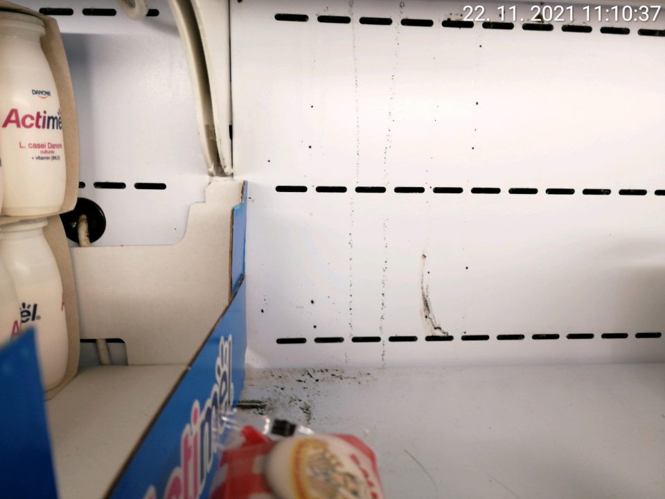 Chladiace vitríny znečistené plesňou