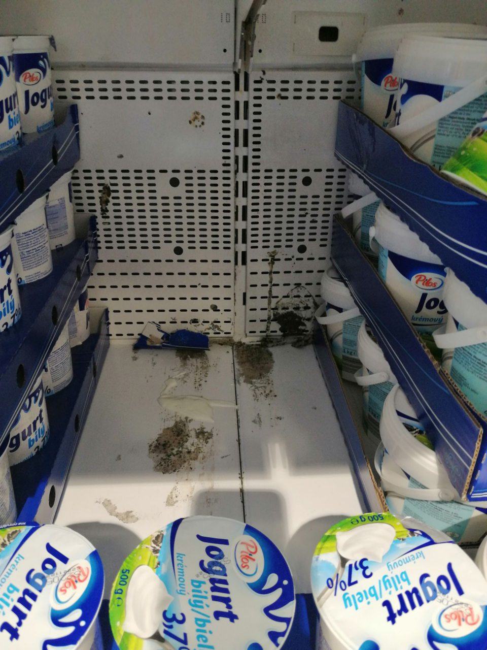 Výrazný výskyt plesne v chladiacom zariadení s ponukou mliečnych výrobkov.