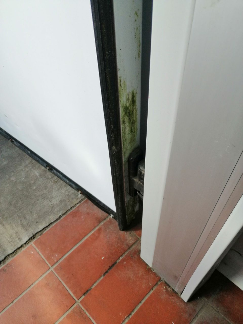 Znečistené dvere z bočnej strany zeleným povlakom v sklade živočíšnych vedľajších produktov.