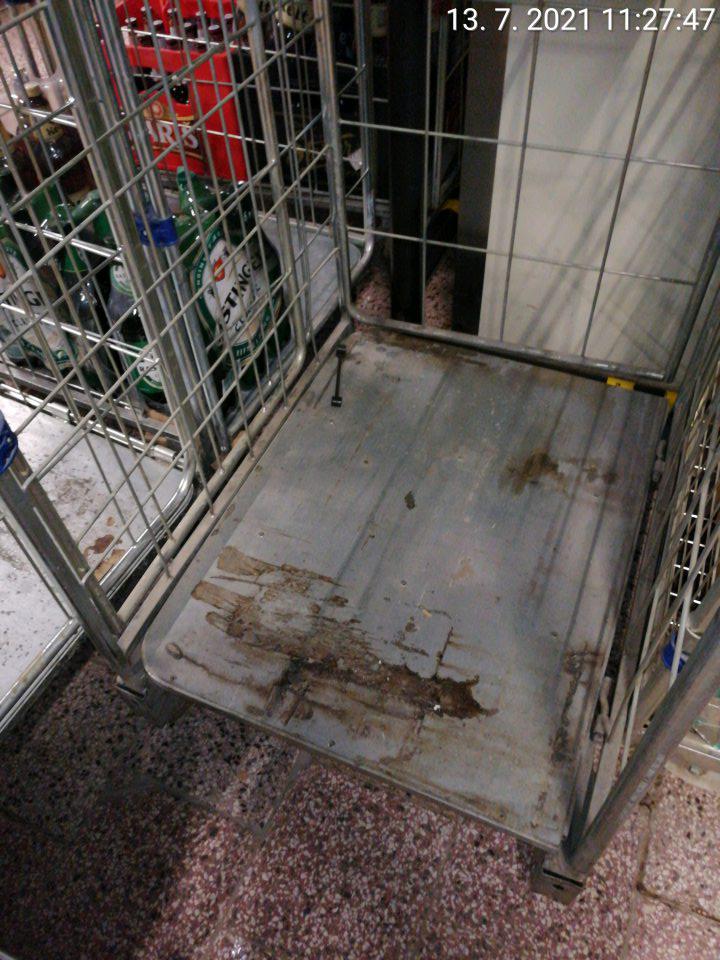 Prepravná klietka znečistená, poškodená