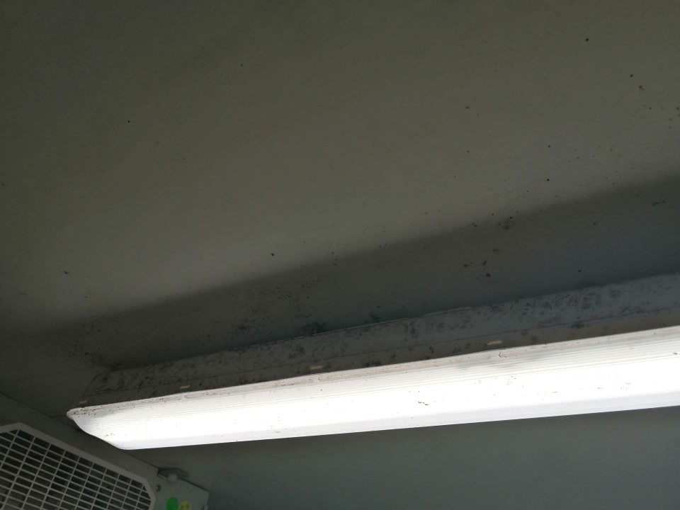 Výskyt plesne na strope a svietidle v chladenom sklade ovocia a zeleniny.