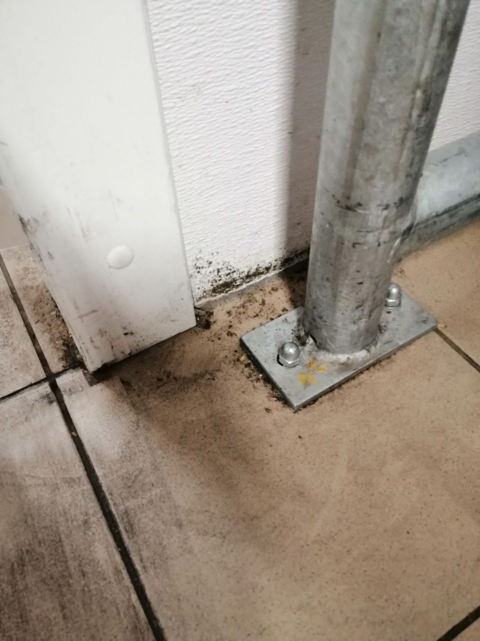 Čierny povlak na stenách v spodnej časti pri zárubni chladiaceho boxu.