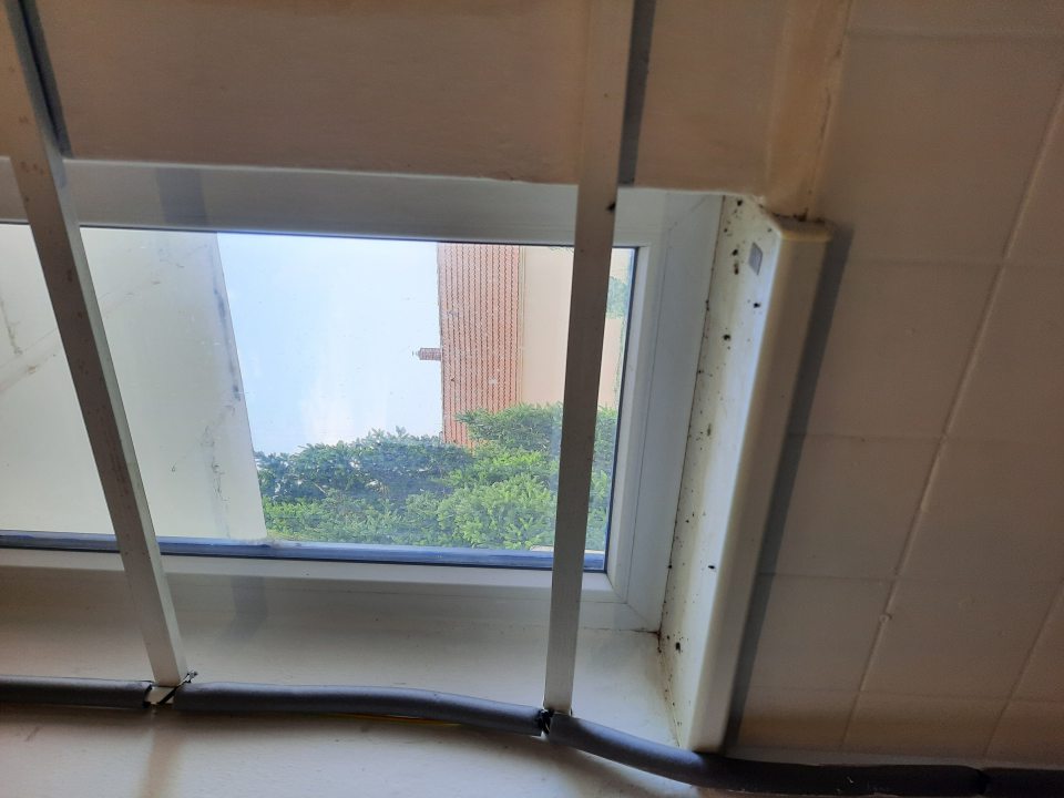 Okná znečistené, nadmerné množstvo uhynutých múch