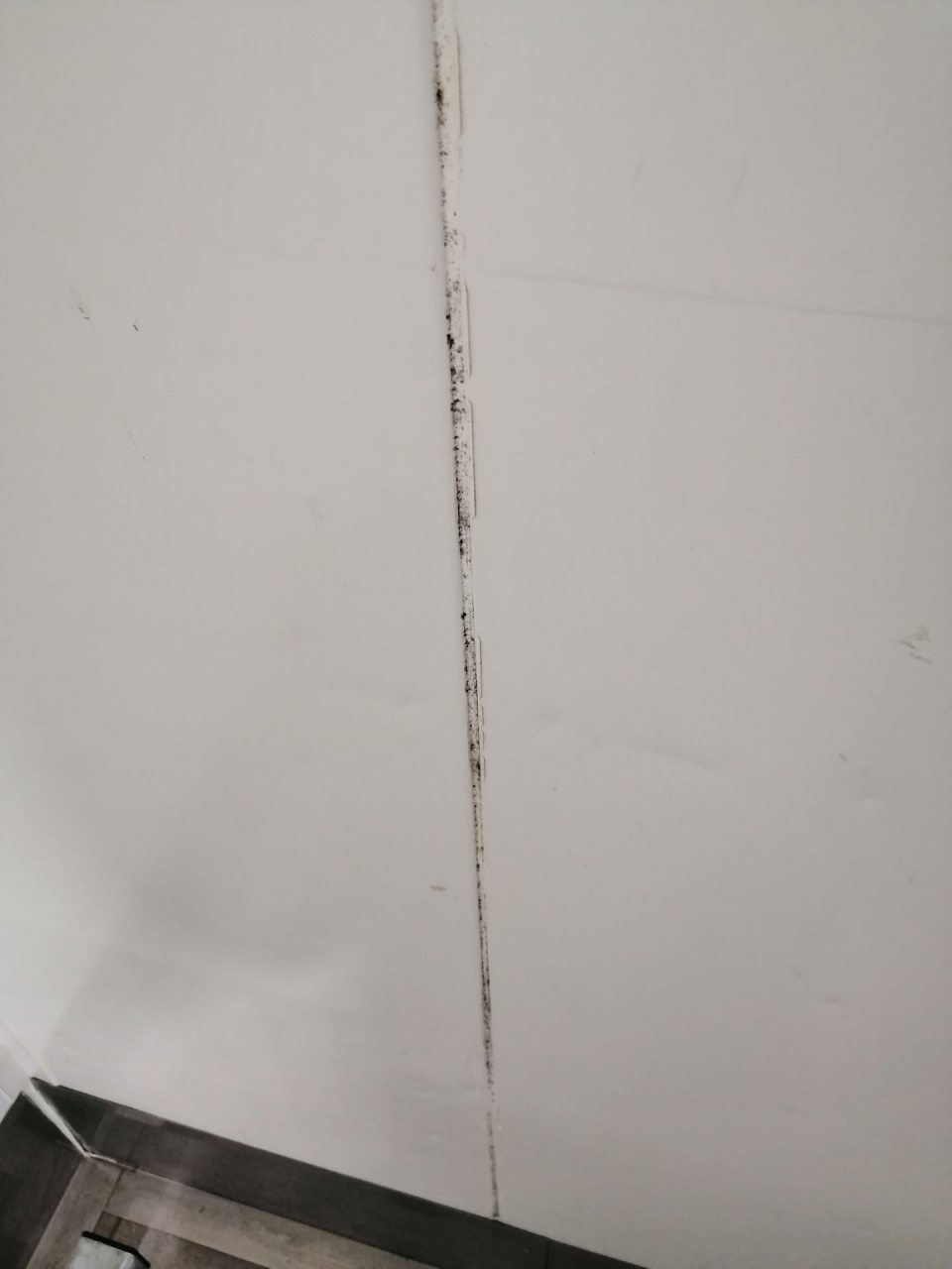 Výskyt plesne na stenách v sklade ovovzelu.