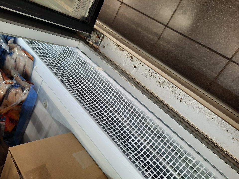 Mraziaca vitrína znečistená plesňou