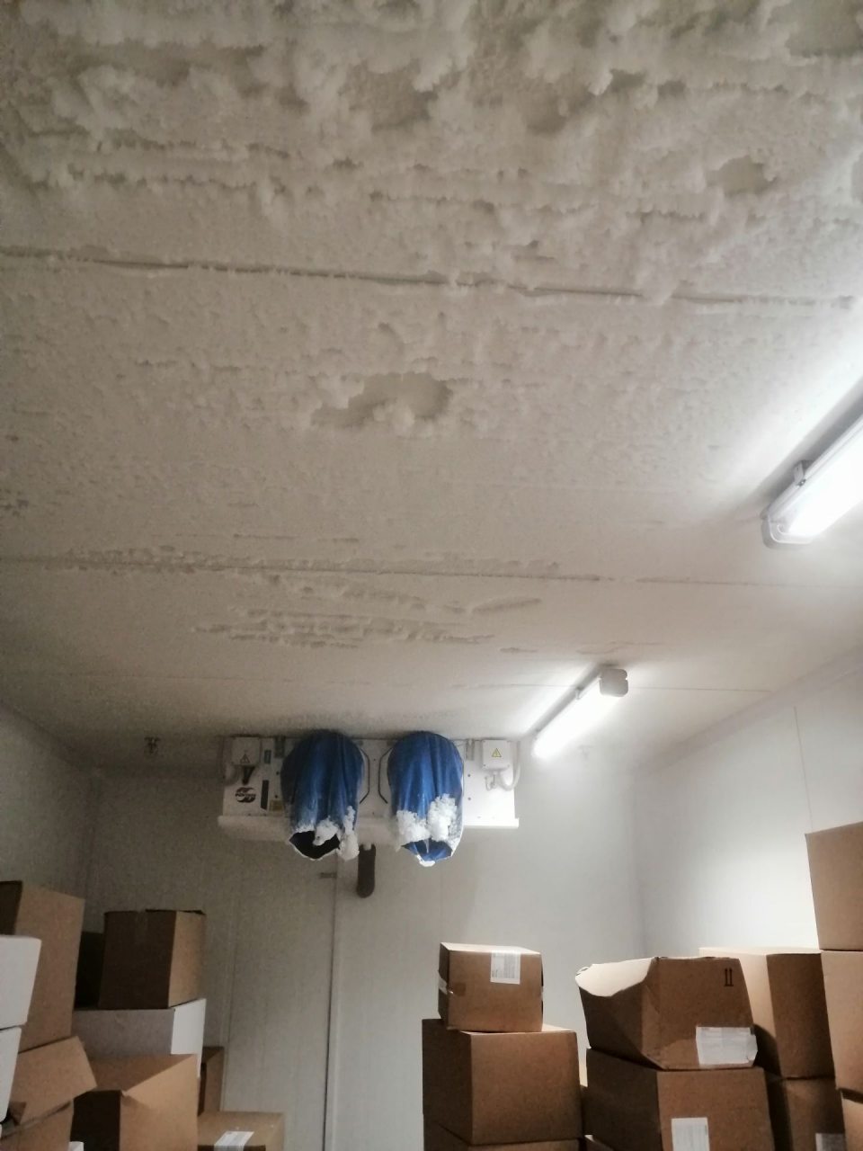 Výrazná námraza na strope v mraziarenskom sklade pečiva.