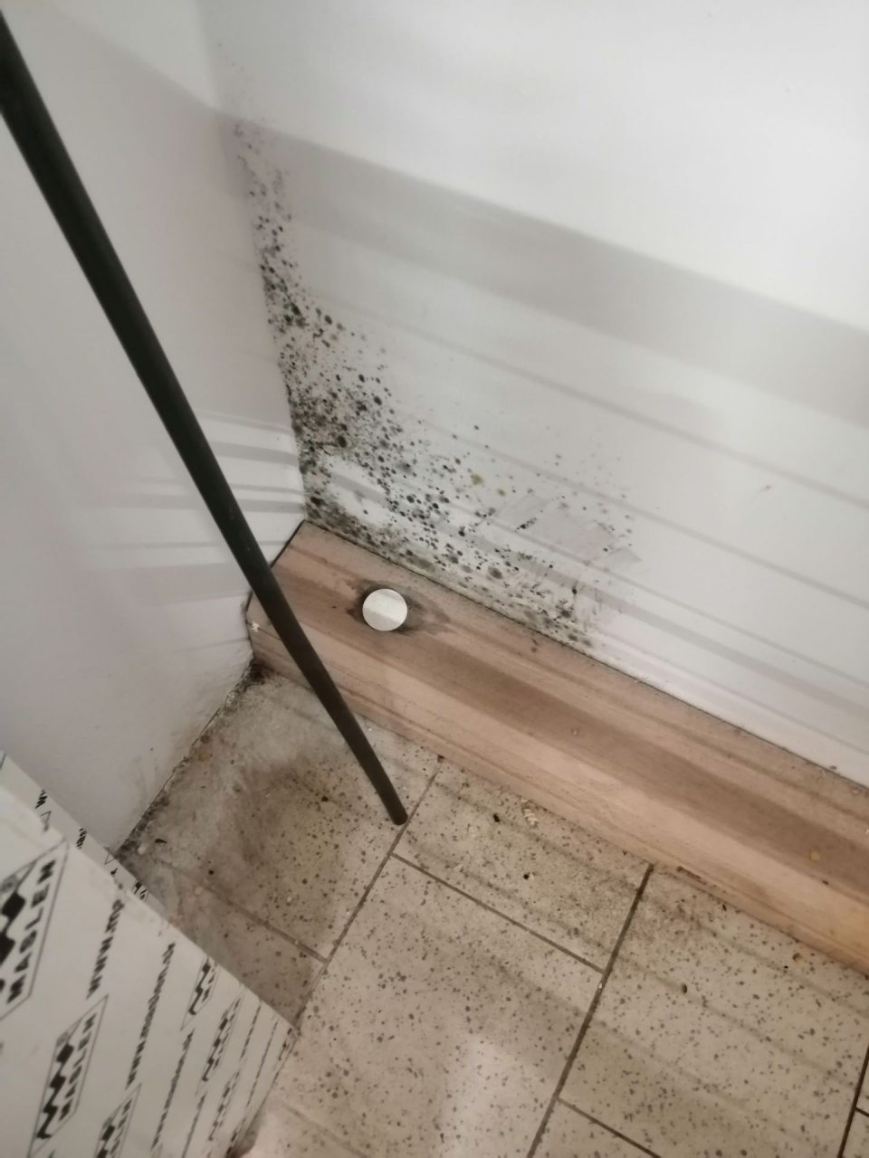 Výskyt plesne na stene v priestore s lisom papiera.