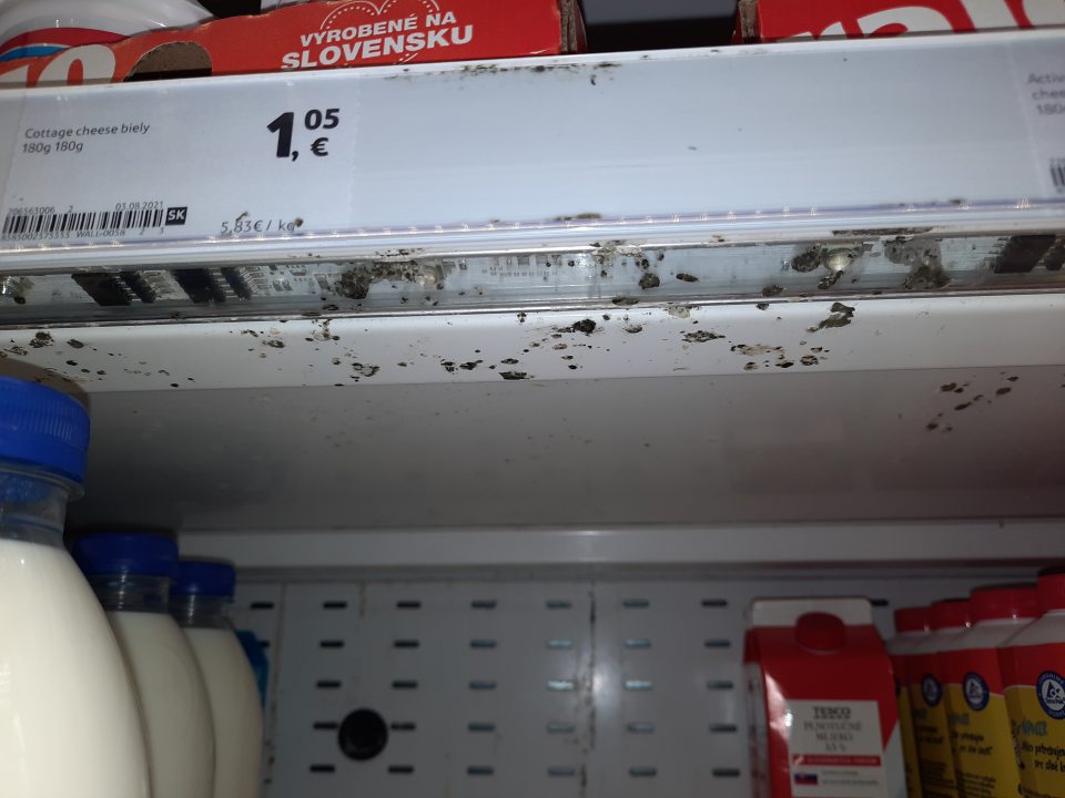 Chladiace vitríny znečistené plesňou