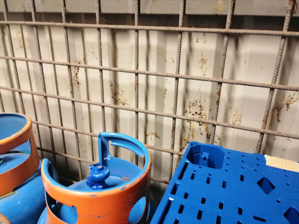 Výrazne znečistené oplechovanie steny s výskytom plesne za kovovou mrežou pozdĺž celej rampy príjmu potravín.