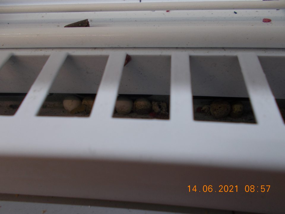 Znečistené mraziace boxy na predajnej ploche, v ktorých boli ponúkané na predaj mrazené polotovary - knedličky.