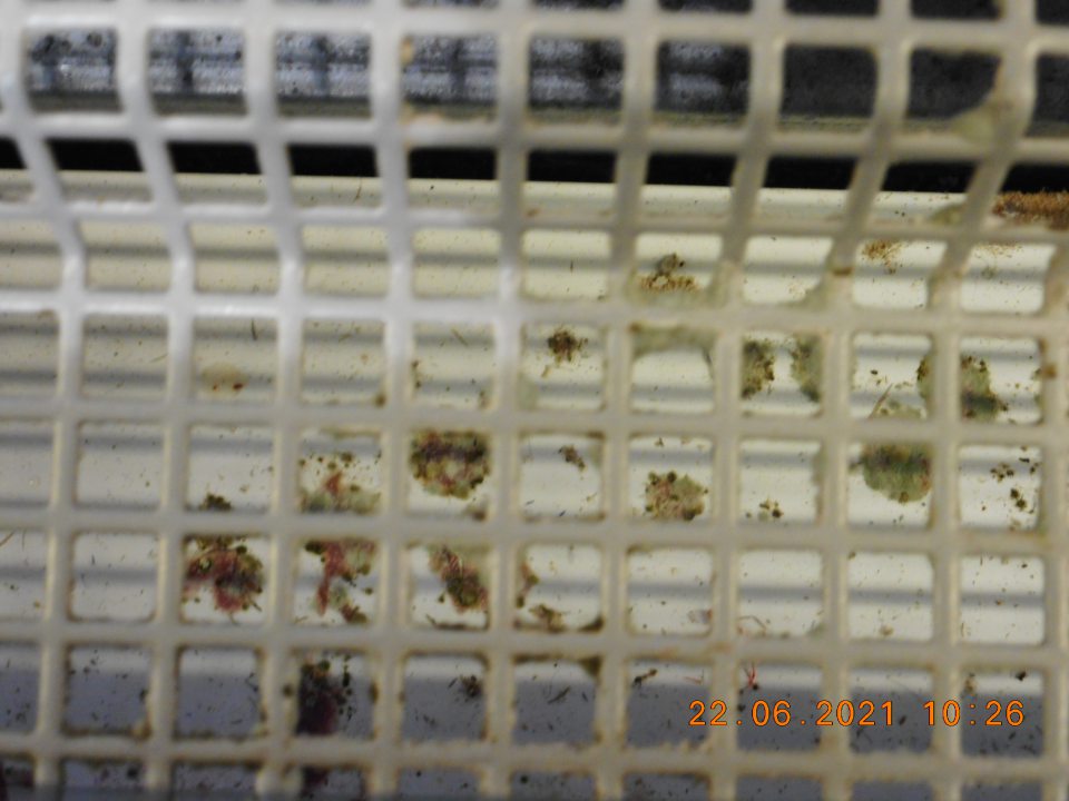 Znečistené chladiace zariadenie.