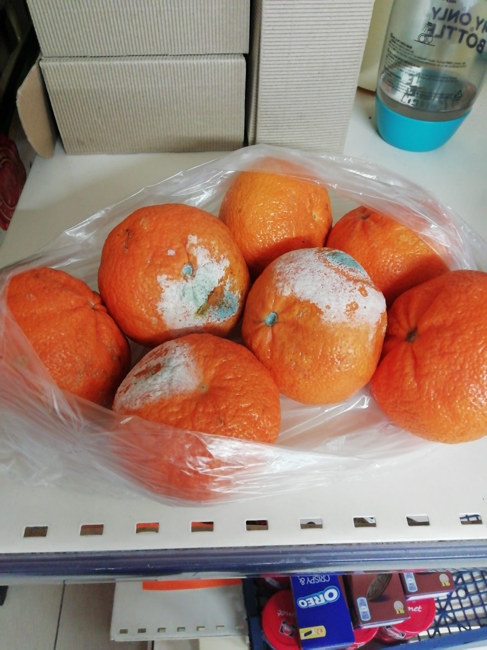 Hniloba a pleseň čerstvého ovocia.