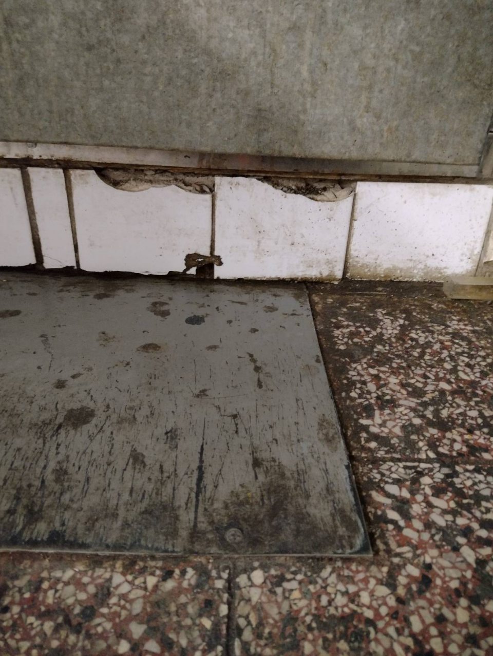 V chladiacom boxe mäsových výrobkov poškodený povrch obkladu v okolí vstupných dverí.