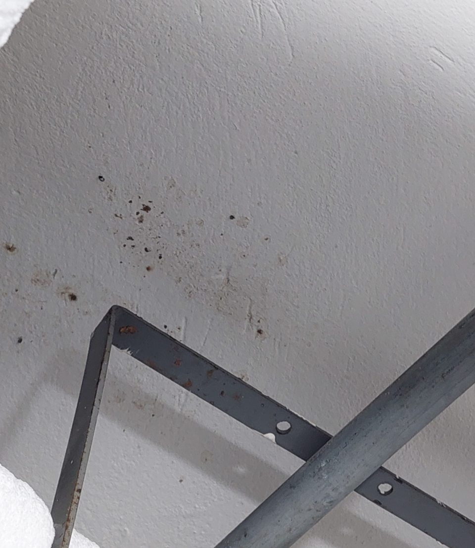 V chladiacom boxe v skladových priestoroch s uloženou zeleninou a ovocím znečistený strop s výskytom plesne.