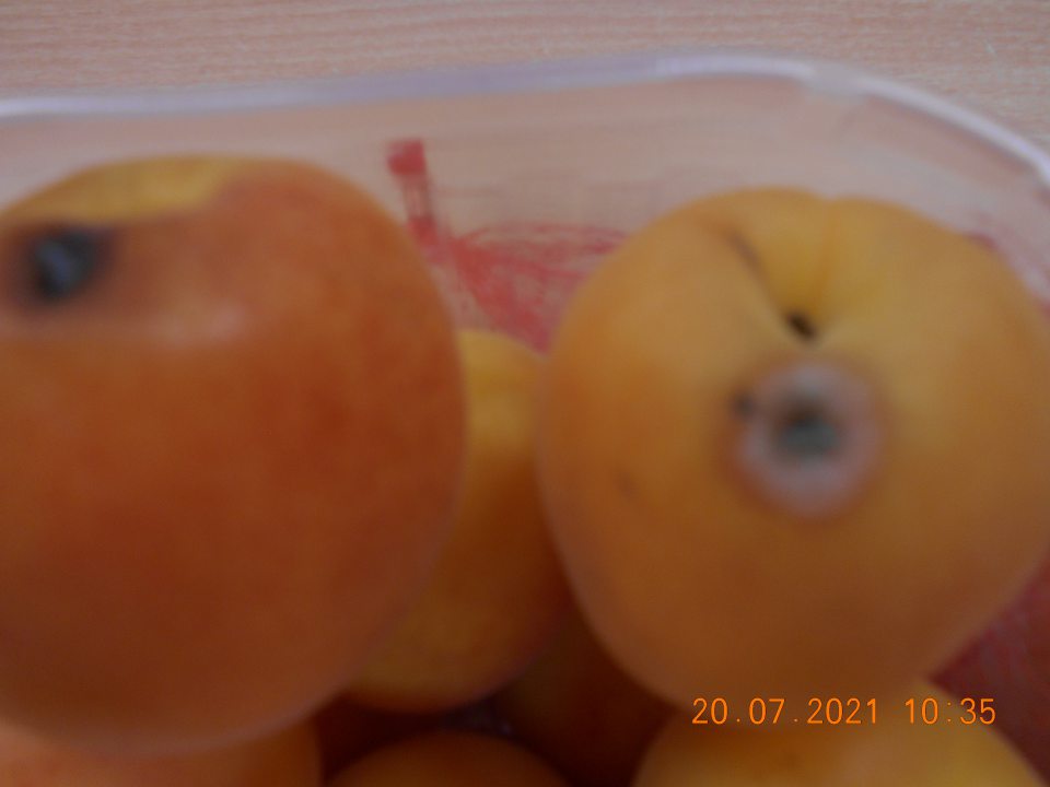 Zistené uvádzanie do obehu štyroch druhov čerstvého ovocia a zeleniny, nevhodných na ľudskú spotrebu z dôvodu výskytu hniloby a povrchovej plesne.