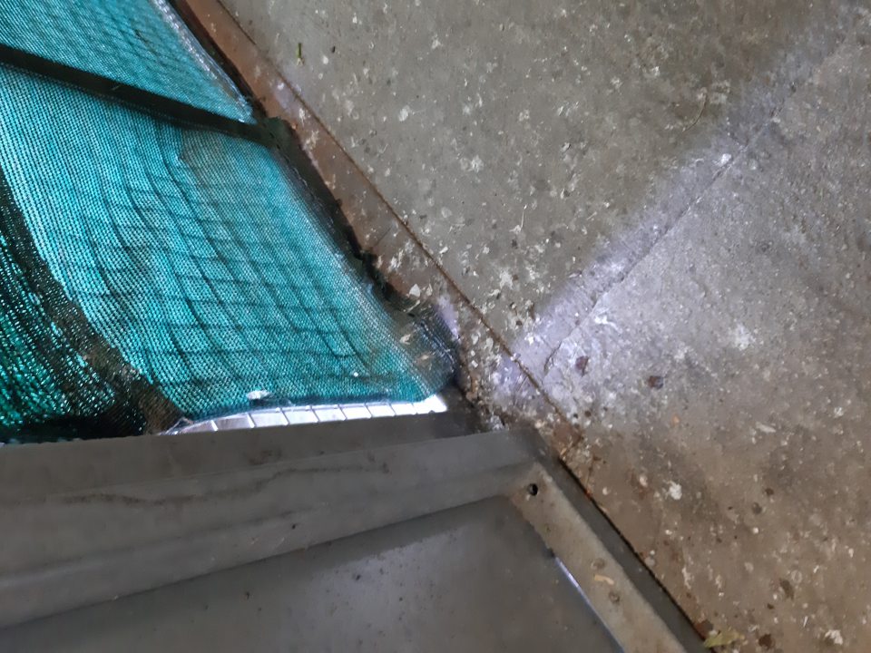 Na okraji spodnej časti podlahy príjmovej rampy nahromadený trus vtákov.