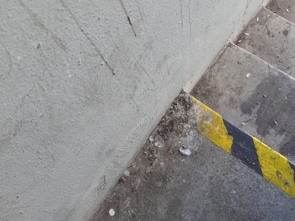 Príjmová rampa - výskyt vtáčieho trusu, plastový rukáv na rampe potriesnený trusom.