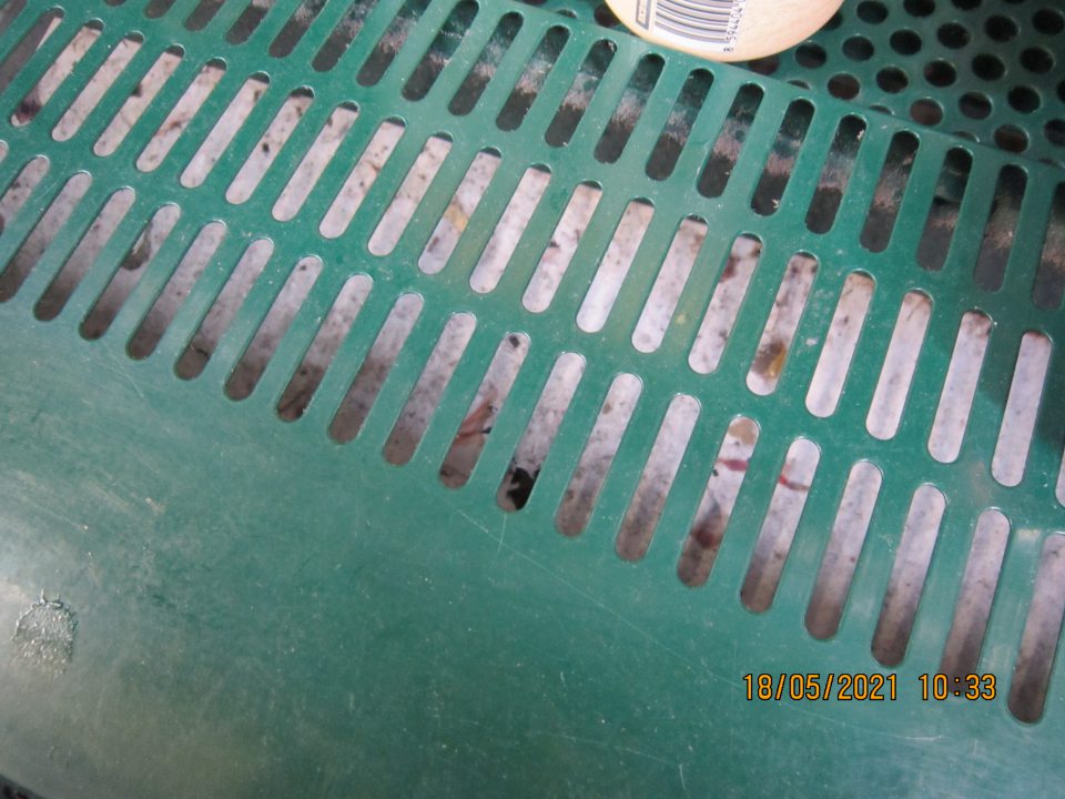 Chladiace zariadenie na predajnej ploche – vitrína Birell na uchovávanie nápojov (plechovkových pív) - znečistené dno pod mriežkou,  zaschnuté nánosy špiny, papieriky, uhynutý hmyz.