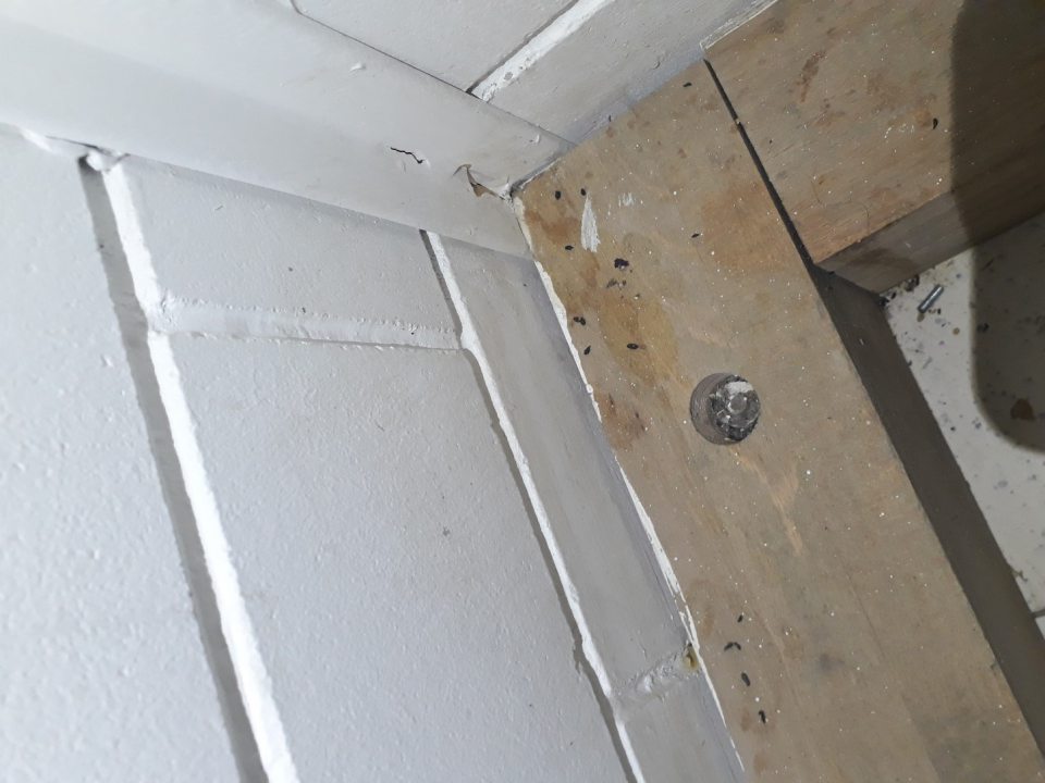 výskyt trusu hlodavcov v sklade pečiva