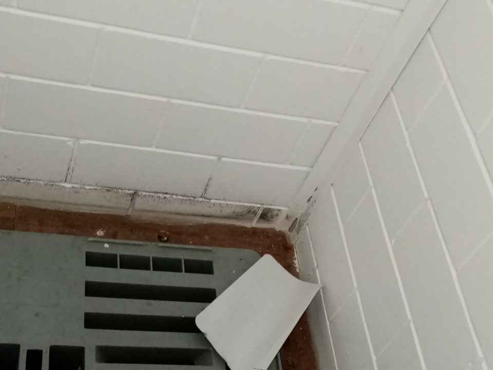 Znečistená stena čiernymi nečistotami v sklade pekárskych výrobkov