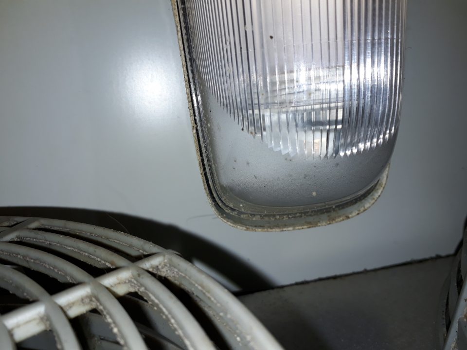 V chladenom sklade v zázemí predajne - plesnipodobné znečistenie na ventilátore a pod stropným svietidlom.