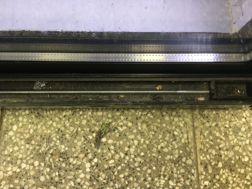 mechanické nečistoty vo vitríne s pivom vo vodiacej lište posuvných dverí (uhynutý hmyz, prach, zvyšky rozsypaných potravín)